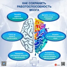 Семь столпов здорового мозга