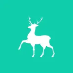 Государственное бюджетное учреждение здравоохранения Нижегородской области «Ардатовская центральная районная больница»